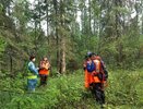 В Кирове больше недели разыскивают 16-летнюю девочку с темными волосами до плеч