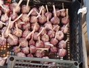 Шокирующий опыт наших предков: положите чеснок под подушку, и уже утром будет виден эффект