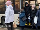 "С понедельника станет бесплатным для каждого пенсионера": новая льгота вводится с 1 ноября