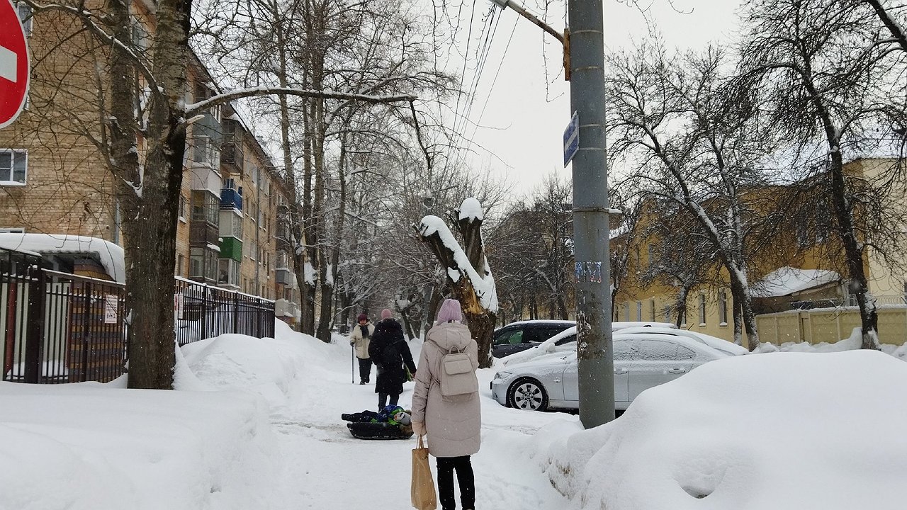 Главная картинка новости: Зимы не будет долго: Роман Вильфанд поделился точным прогнозом, будет ли снег на Новый год