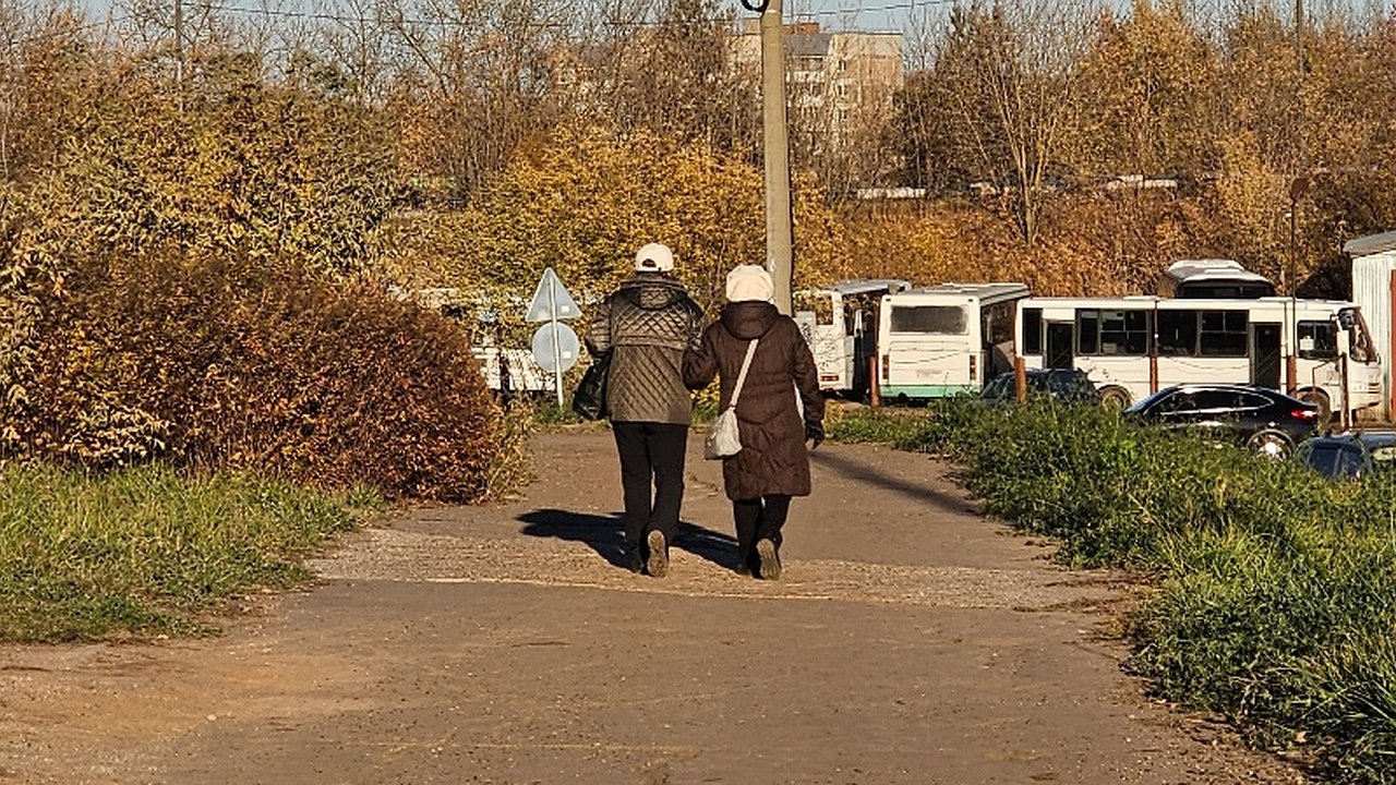 Главная картинка новости: "Для тех, кому уже исполнилось 60 лет": с 3 ноября в России начнет действовать новая льгота