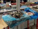 Рыба, которой не должно быть на столе: а мы ее едим и детям даем - она кишит паразитами