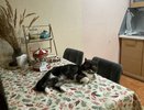 Срочно избавьтесь от этой вещи в доме: она приводит к бедности и отбирает все здоровье
