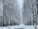 Аномальное тепло придёт в декабре: синоптики сообщили о сюрпризах, которые готовит зимний период