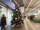 Праздники изменят из-за обстановки в стране: новогодние каникулы 2024-2025 уже не будут такими, как раньше