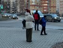 Сбудется все, что только пожелает: Василиса Володина обрадовала прогнозом на 2025 год один знак