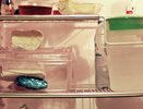 Мало кто знает об этой хитрости: бутылку с водой в морозилку – счета за электричество больше не побеспокоят