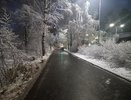 Что нас ждет зимой? Синоптики рассказали о климатических феноменах, которых не наблюдали с 18 века