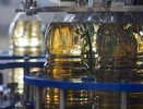 Роскачество назвало лучшее подсолнечное масло: выбирайте эти бренды смело