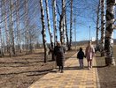 Решено снизить возраст выхода на пенсию до 55/60 лет – кто попал в список