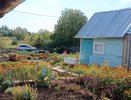 Новые ограничения для дачников и огородников: что теперь нельзя делать