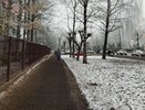 "Почти вся Россия окрасится в красный цвет": Роман Вильфанд сообщил, что с Атлантики идет мощная волна тепла