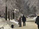 Ждите раз в 30 лет: Василиса Володина назвала знаки, которых захлестнет денежный поток в конце декабря