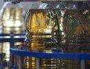 Химическая отрава в красивых бутылках: Роскачество назвало худшие бренды растительного масла