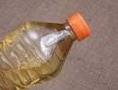 Химия в красивых бутылках: в Роскачестве назвали худшие бренды растительного масла
