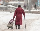 Важная льгота для всех пенсионеров: это станет бесплатным с 1 января