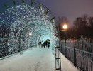 "Золотой билет заберут эти трое": Василиса Володина предрекла выигрыш в лотерею 3 знакам Зодиака с 15 января
