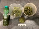 33-летнего кировчанина осудили за выращивание конопли