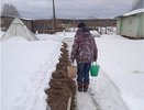 В районах Кировской области решают вопрос с проблемой подвоза воды после аварий