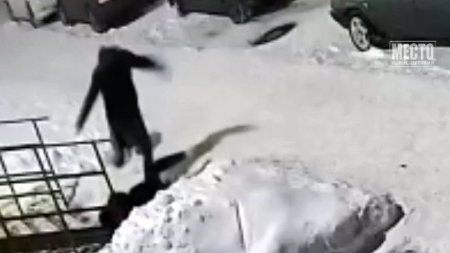 Главная картинка новости: В Кирове мужчина в маске жестоко избил свою спутницу