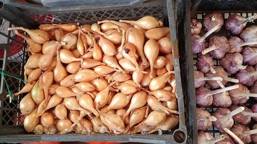 Главная картинка новости: Кладу луковую шелуху под кровать: дедовский метод эффективен по сей день - вся семья счастлива