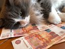 Размер маткапитала после индексации в феврале составит 912 тысяч рублей