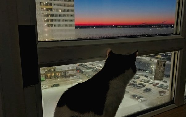 В России с начала 2025 года дорожают квартиры в новостройках