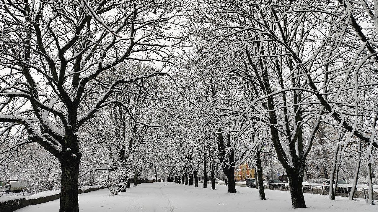 Главная картинка новости: Конец оттепели: метеорологи прогнозируют возвращение настоящей русской зимы