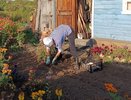 Каким будет лето после аномально теплой зимы: эксперты ответили, к чему готовиться садоводам в 2025 году