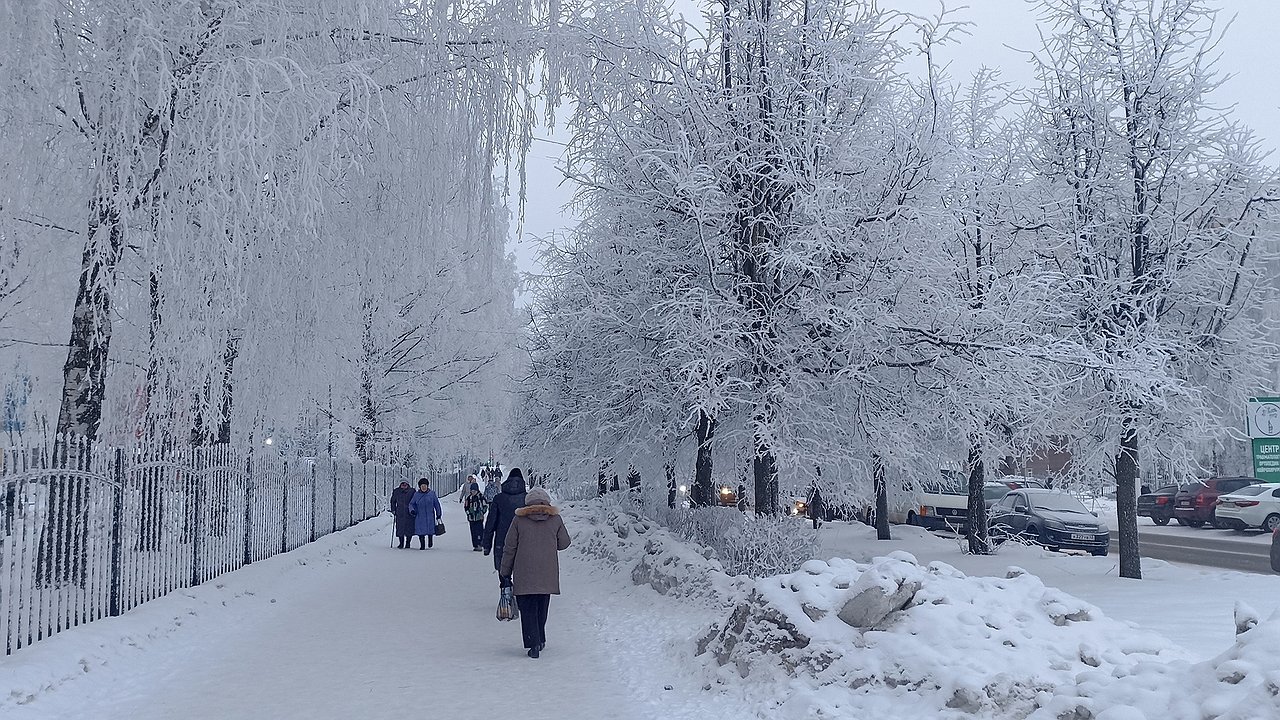 Главная картинка новости: Аномальная жара наступит в середине феврале: весна нагрянет раньше