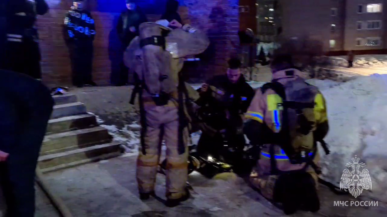 Главная картинка новости: В Кирово-Чепецке пожарные спасли от гибели собаку, надышавшуюся дымом