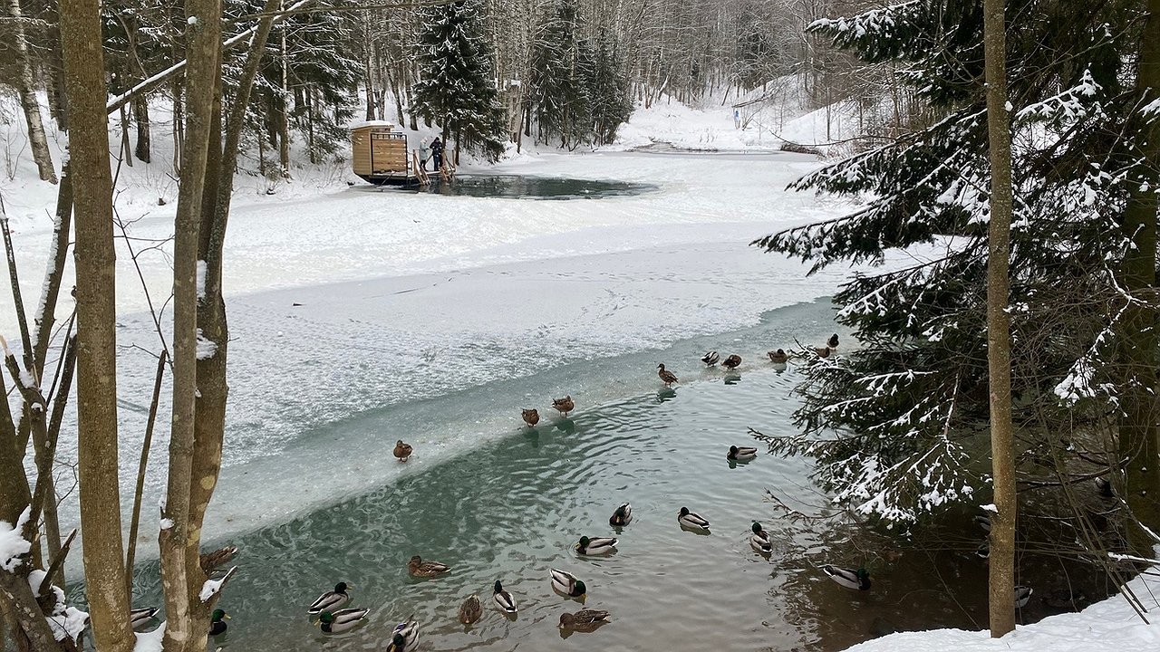 Главная картинка новости: В Кировской области хотят организовать комиссию по созданию природных отелей и глемпингов