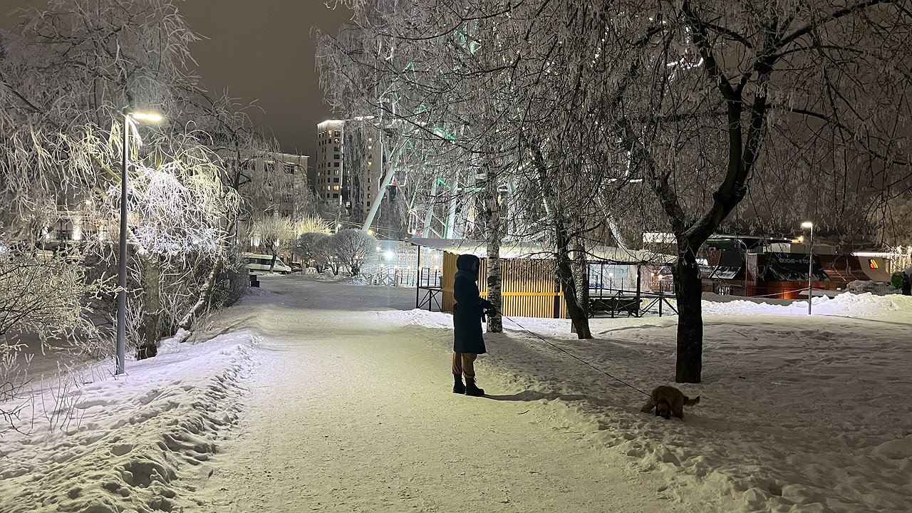 Главная картинка новости: В Кировской области за год благоустроят 11 парков