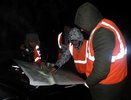 В Кирове вторые сутки не могут найти пенсионера