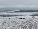 Кировские фермеры получат гранты на развитие агротуризма