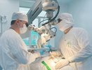 В Кирове успешно провели малоинвазивную операцию по удалению грыжи позвоночника