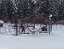 “Люди бунтуют”: что известно о дальнейшей судьбе ворот в Порошино, которые пришлось снять