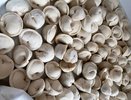 Перемолотые рога и копыта, мяса нет: в Роскачестве назвали худшие бренды пельменей