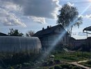 Воткнул черенок и ушел, к лету вымахает дерево: этот японский кустарник украшает участок лучше сирени, цветет до осени