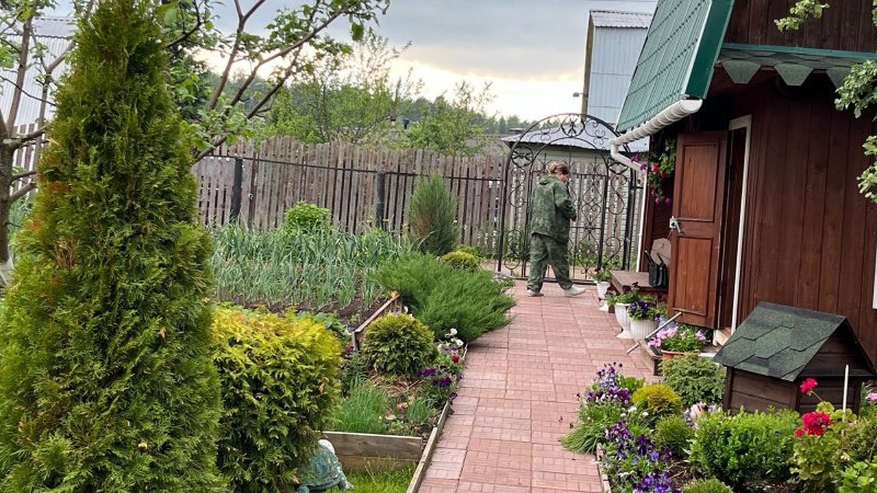 Главная картинка новости: Сирень в пролете: этот кустарник радует цветением с лета до зимы и превращает сад в пушистое облачко круглый год