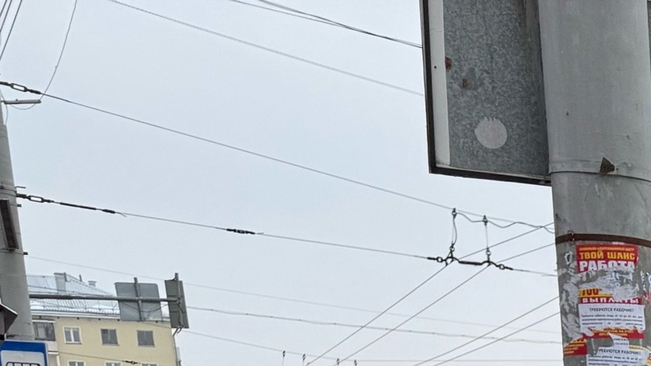 Главная картинка новости: У умных людей всегда присутствует эта цифра в дате рождения: проверьте свою