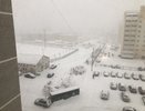 Жара в марте, холод в мае. Опубликован прогноз погоды на весну 2025 год