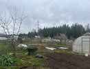 Миска крупы вместо 10 кг навоза: бросаем прямо на снег - весной почва будет мягкой, словно шелк