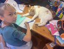 Весенние каникулы отменяют из-за ситуации в стране: дети рыдают, родители схватились за головы