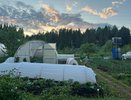 2 л на ведро — и каменная земля станет легкой и рыхлой: как превратить плохой грунт в чернозем