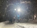 Погода встала с ног на голову: Вильфанд озвучил новый прогноз на апрель