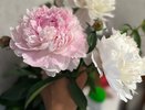 Одна таблетка в воду и букет цветов проживет месяц: это есть в любой аптечке