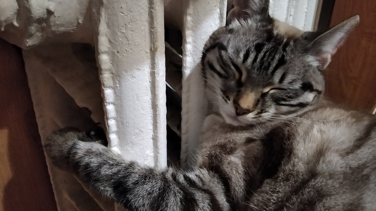 Главная картинка новости: В Кирове определили условия отключения отопления