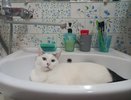 В Ленинском районе Кирова временно отключат воду из-за ремонтных работ