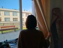 Не уксус: Как отмыть окна до блеска за 5 минут — никаких разводов и стойкий аромат бонусом